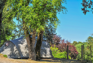 camping meilleur prix Royan