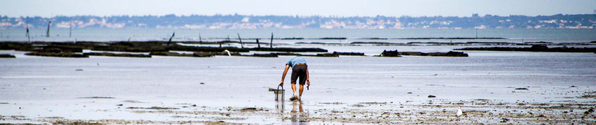 Pêche à pied en Charente-Maritime | Top des spots de pêche en Charente-Maritime