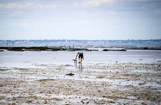 animations et de services Charente-Maritime
