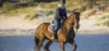 Royan Horse Club