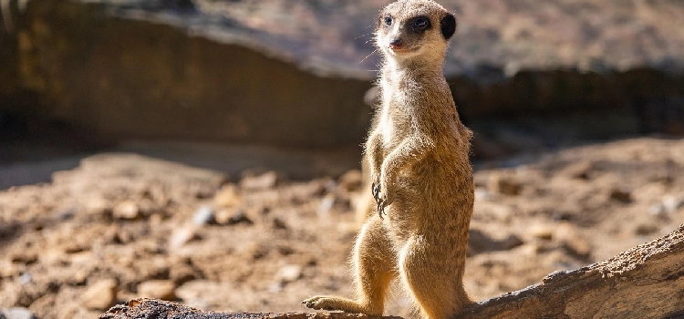 Visites culturelles et découvertes du patrimoine