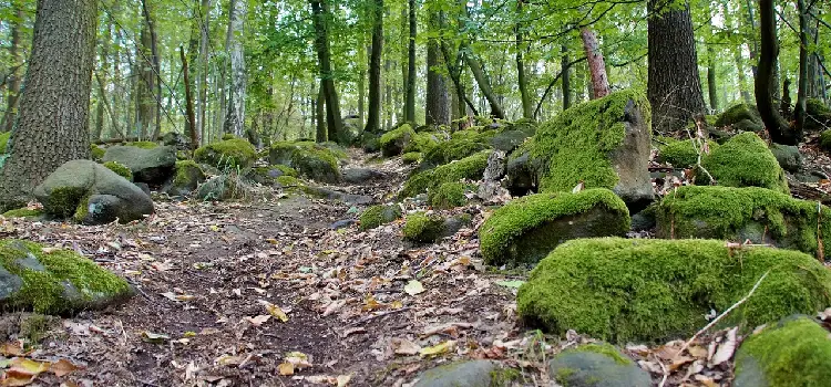 randonnée et balades nature