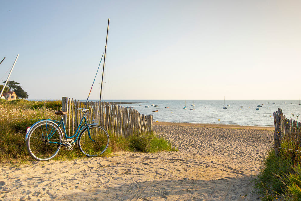 Ihr Campingurlaub im Zeichen des Fahrrads